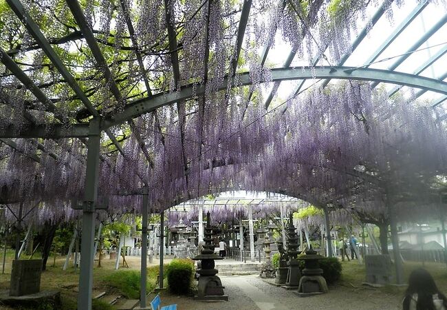 山田日吉神社