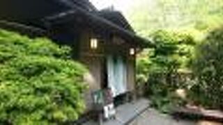 地元のタケノコ