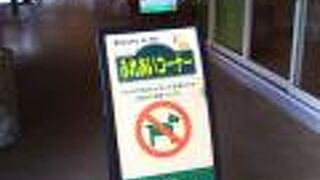 世界の名犬牧場