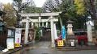 木々の繁る落ち着いた空間