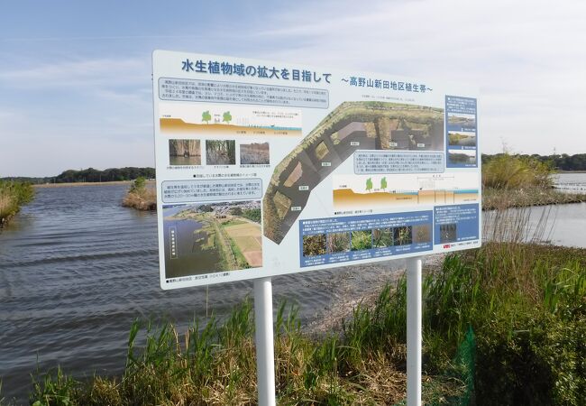手賀沼公園 クチコミ・アクセス・営業時間｜我孫子【フォー