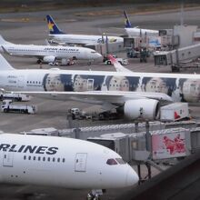 嵐２０周年デザインの飛行機見つけました！