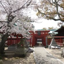 桜と吹揚稲荷神社