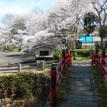 参道近くの朱塗りの橋です