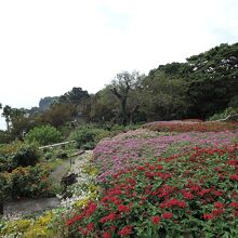 見事な庭園　海景色も楽しめる