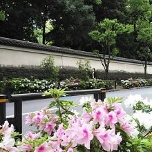 小石川後楽園とツツジ