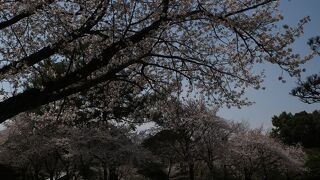 熊本の絶景ポイント