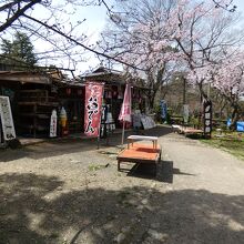 桜の下の銀茶寮