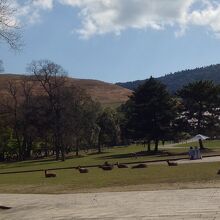 笠を重ねたような三笠山とも言われる若草山