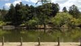 大仏殿手前の池