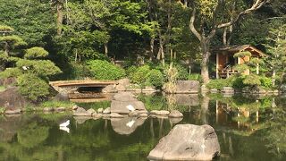 街中にある回遊式日本庭園