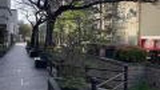 道路を挟んでいます