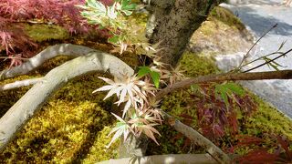 見ごたえがあります