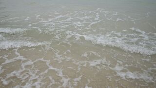 素敵な砂浜と美しい海