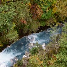 青く輝く美瑛川