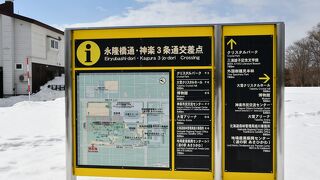 一面の雪景色でした