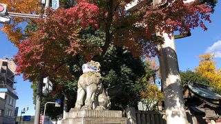 参拝しやすいステキな神社