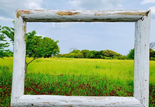 しまばら火張山花公園 春の花まつり