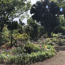 フランス山の花壇