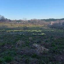 青い空ときれいな空気感が良かったです。