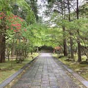 とても雰囲気が良いです