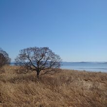 竜宮街道からのサロマ湖