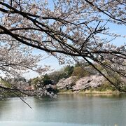 大きい公園ですので、コロナ禍でもあまり密にはなりません