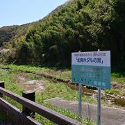 岡山県内きっての