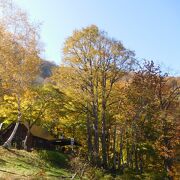 紅葉の絶景