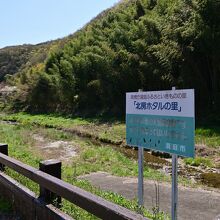 豊かな自然が残る備中川沿い