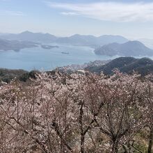 頂上からの景色です