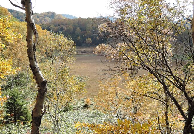 広大な湿原にも紅葉が