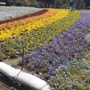 2021年４月18日現在、「浜名湖花フェスタ」開催中の為か人は多かったです