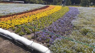 2021年４月18日現在、「浜名湖花フェスタ」開催中の為か人は多かったです