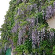 素晴らしい花の美術館