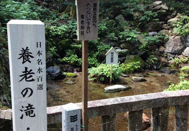 養老神社境内にある名水