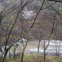 窓の外は湯檜曽の大自然。