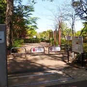 石神井公園に隣接する区立公園