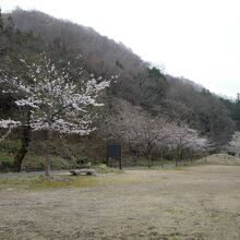 東屋やトイレはありますが、長い時間楽しめる感じではないです。