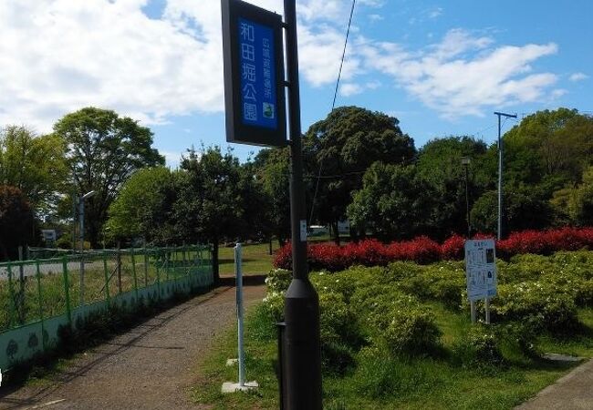 和田堀公園 クチコミ アクセス 営業時間 高井戸 千歳烏山 八幡山 フォートラベル 和田堀公園 クチコミ アクセス 営業時間 高井戸 千歳烏山 八幡山 フォートラベル