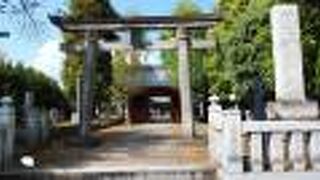 落ち着いた雰囲気のある境内