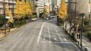 道幅広く走りやすい