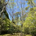 苔と岩の広大な庭園