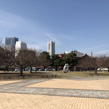 桟橋の公園