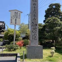 知恩院入り口です。