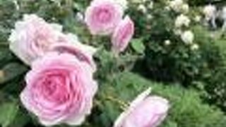 とても素敵です。