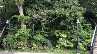 いい運動になります