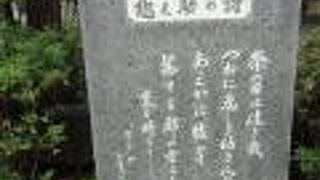 稲毛神社の山王祭りへの想いを描いています