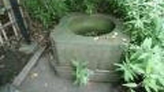 水の悪い川崎で唯一清水の絶えない井戸