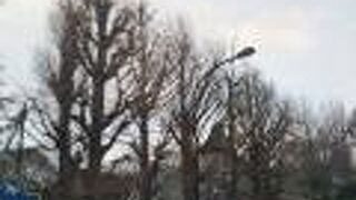 都会の真ん中で可愛らしいポニーと触れ合える